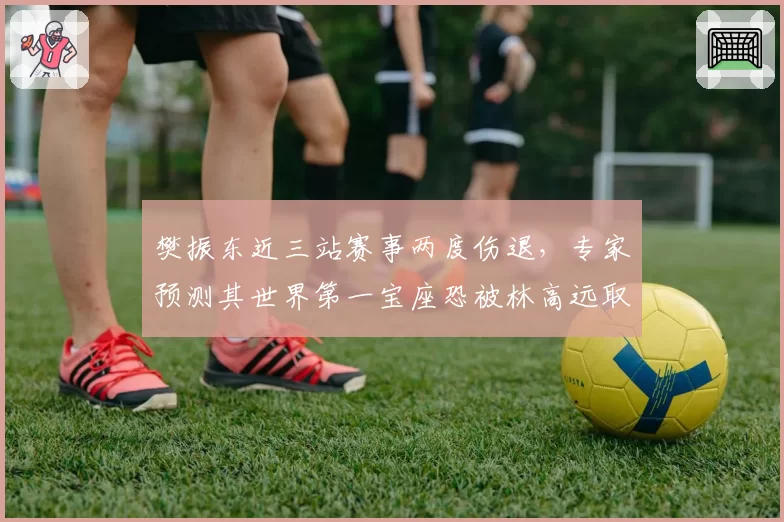 樊振东近三站赛事两度伤退，专家预测其世界第一宝座恐被林高远取代