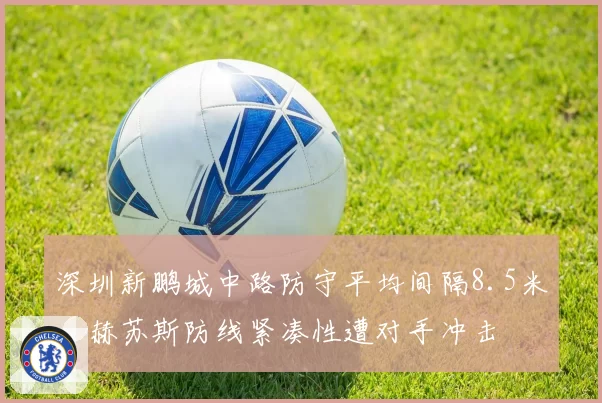 深圳新鹏城中路防守平均间隔8.5米，赫苏斯防线紧凑性遭对手冲击