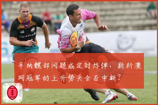 辛纳髋部问题成定时炸弹，新科澳网冠军的上升势头会否中断？