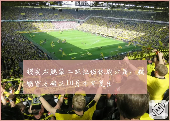 锡安右腿筋二级拉伤休战六周,鹈鹕官方确认10月中旬复出
