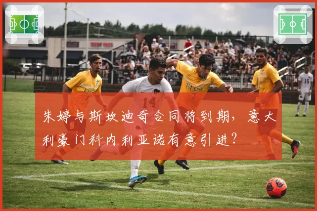 朱婷与斯坎迪奇合同将到期，意大利豪门科内利亚诺有意引进？