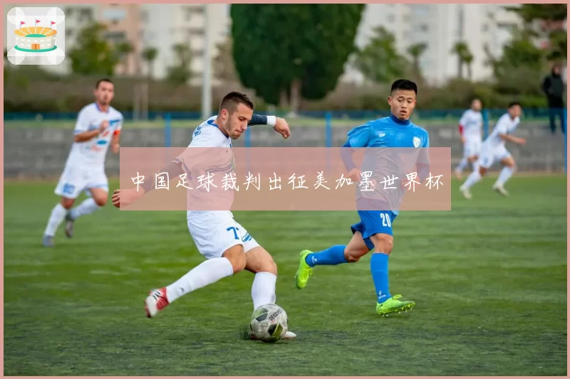 中国足球裁判出征美加墨世界杯