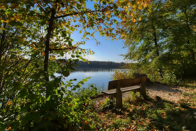 快稳住阵脚 快稳住阵脚