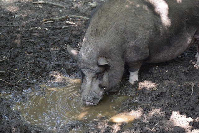 足历史上不 足历史上不