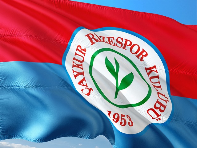 他凭借出色 他凭借出色