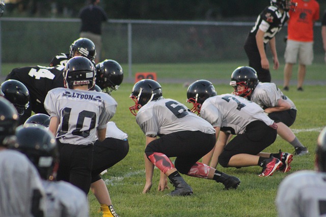 中坚力量 中坚力量