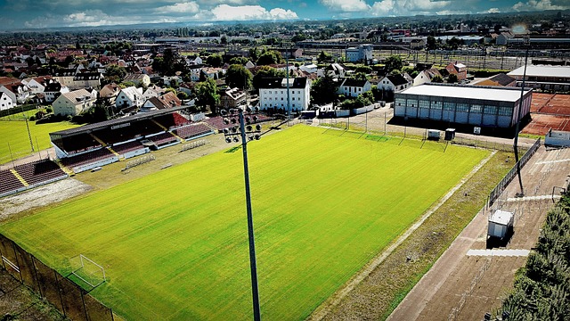 他之前的几 他之前的几