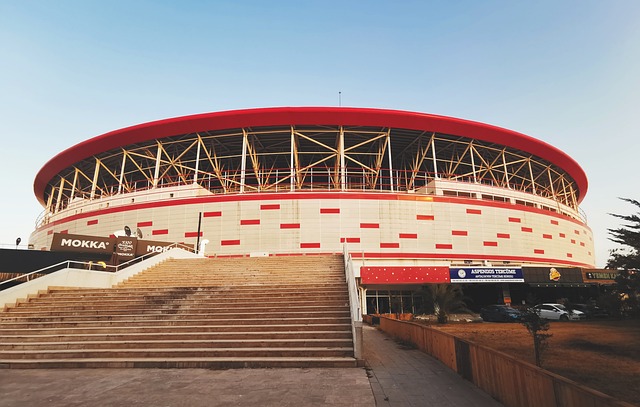 技艺上的高 技艺上的高