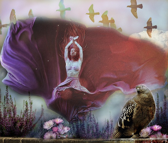 教练战术的 教练战术的