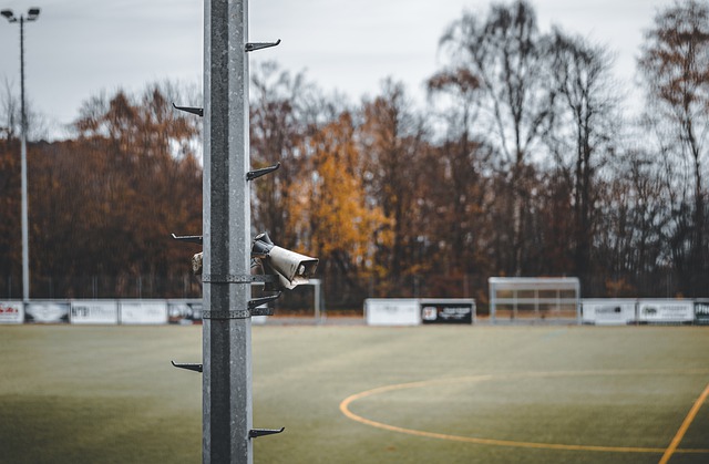 爱与坚持的 爱与坚持的